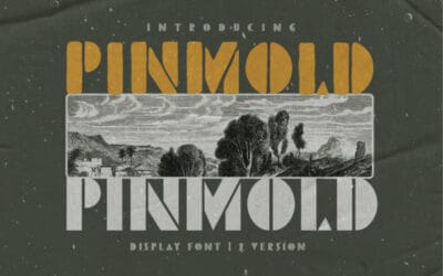 Pinmold Font