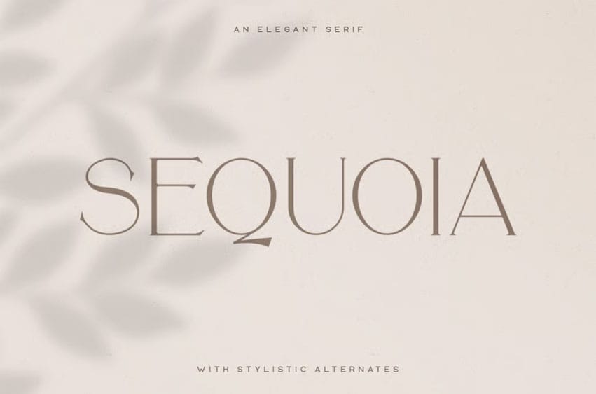 Sequoia Typeface Font