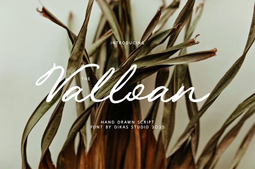 The Valloan Font
