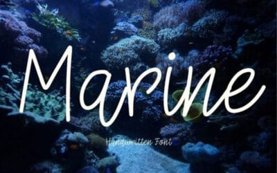 Marine Font