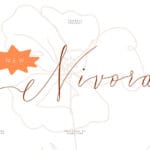 Nivora Handwritten Font