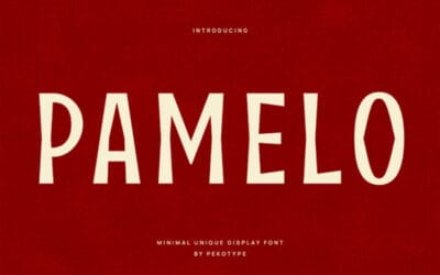 Pamelo Font