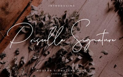 Priscilla Signature Font