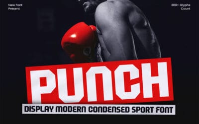 Punch Font
