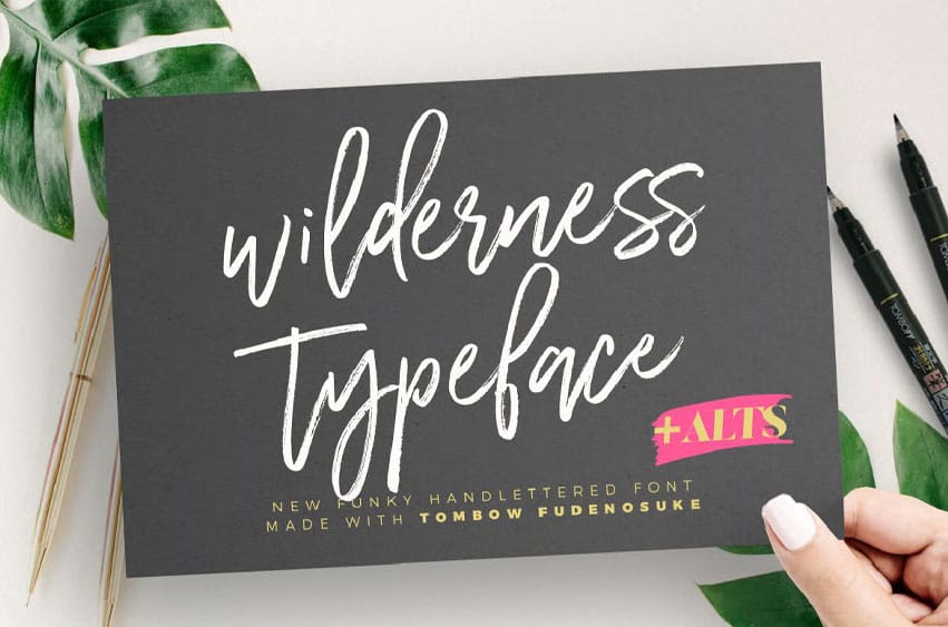 Wilderness Typeface Font