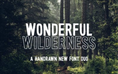 Wonderful Wilderness Font