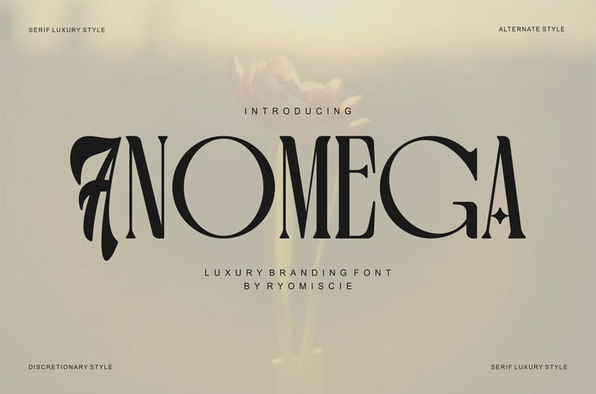 Anomega Font