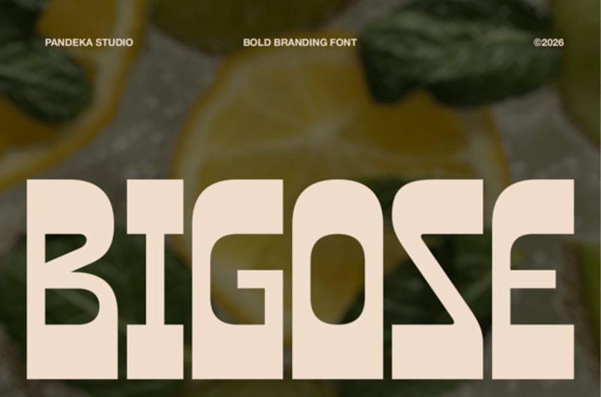 Bigose Font