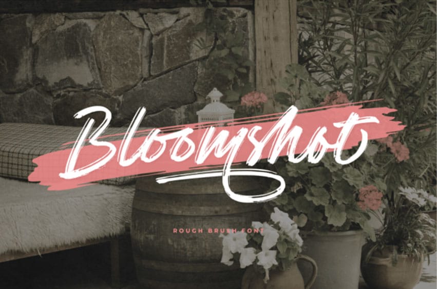 Bloomshot Font