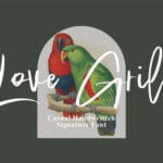 Love Grild Font