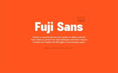 Fuji Sans Font