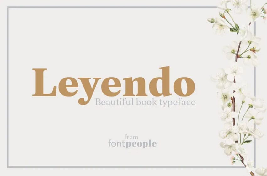 Leyendo Font