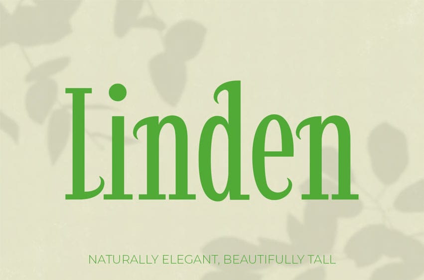 Linden Font