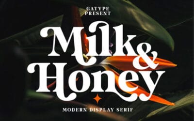 Milk and Honey Font