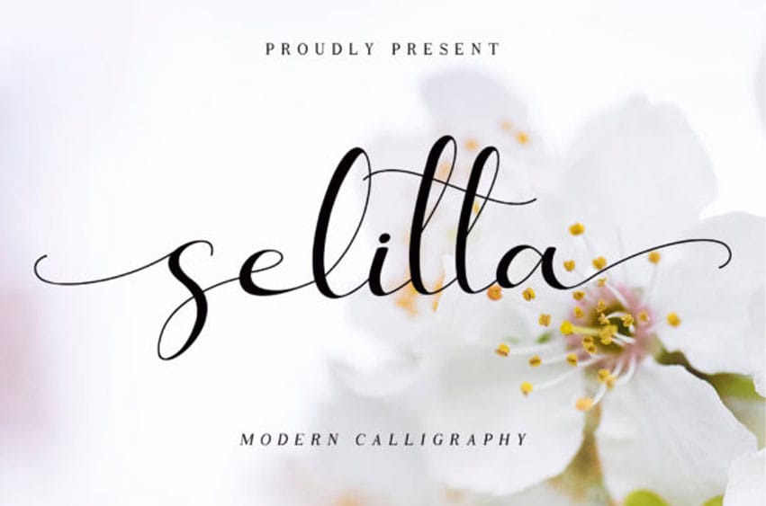 Selitta Font
