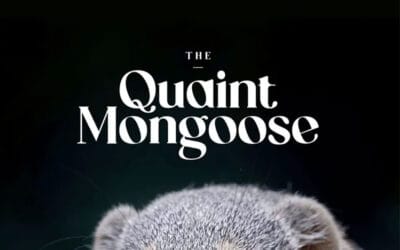 The Quaint Mongoose Font