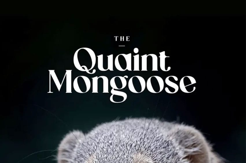 The Quaint Mongoose Font