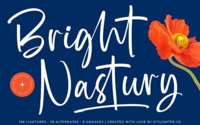 Bright Nastury Font