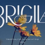 Brigila Font