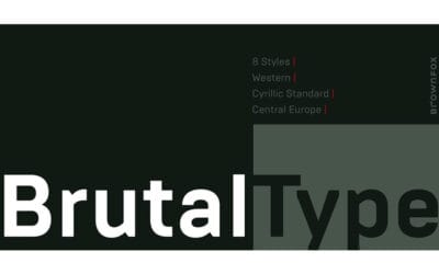 Brutal Type Font