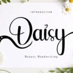 Daisy Font