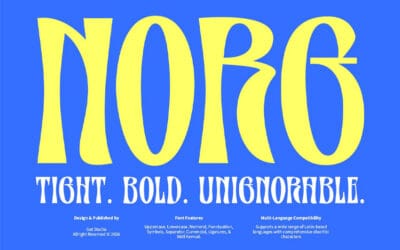 Norg Font