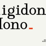 Rigidon Mono Font