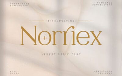 Norriex Font