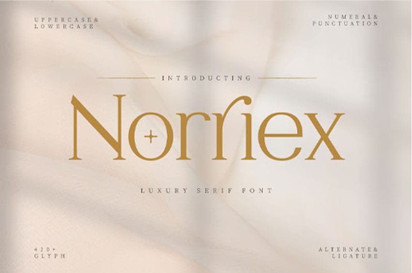 Norriex Font