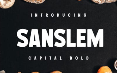 Sanslem Font